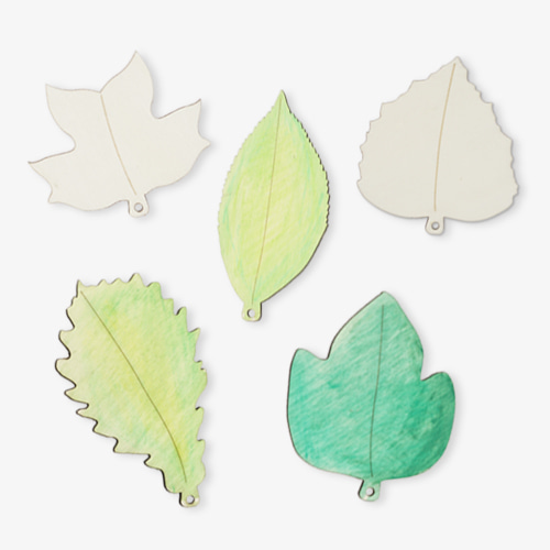 다섯종류나뭇잎
